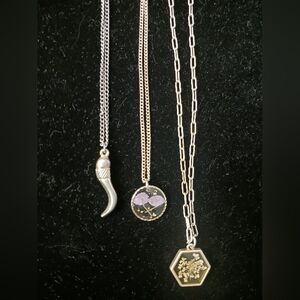 3 Earthy Gold-toned Necklace Lot, Dried Flowers, One Marked SU CZ CH